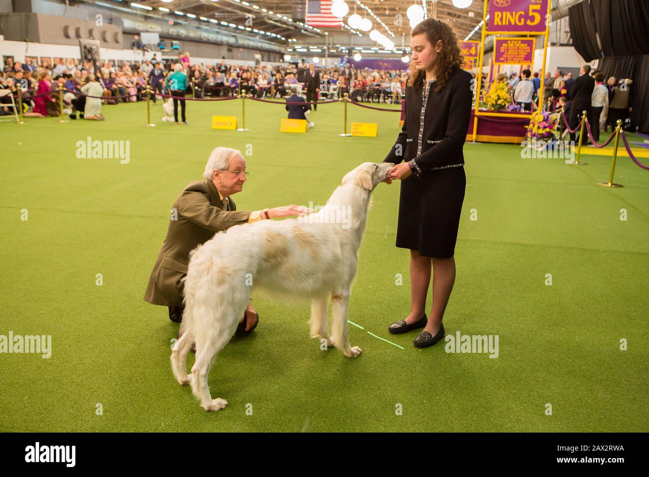 What Do Dog Show Handlers Put In Their Mouth