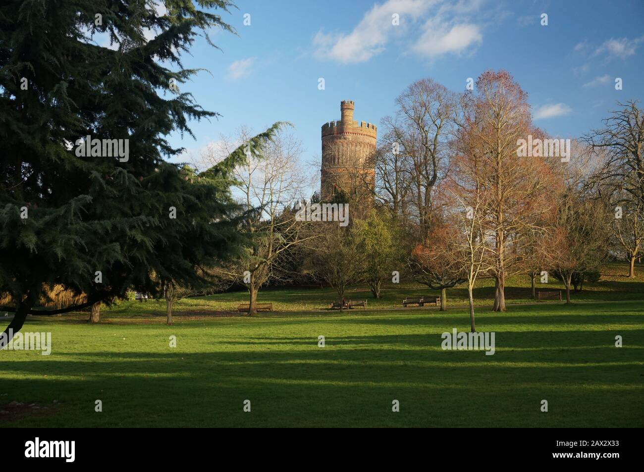 Woodland Stock Photo