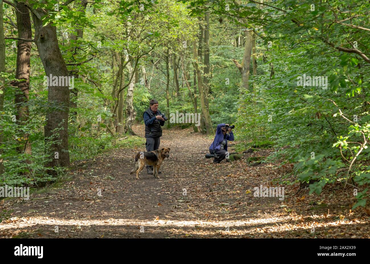 A man and a woman taking photos in West Wood, Calverley, Leeds, Yorkshire. Stock Photo