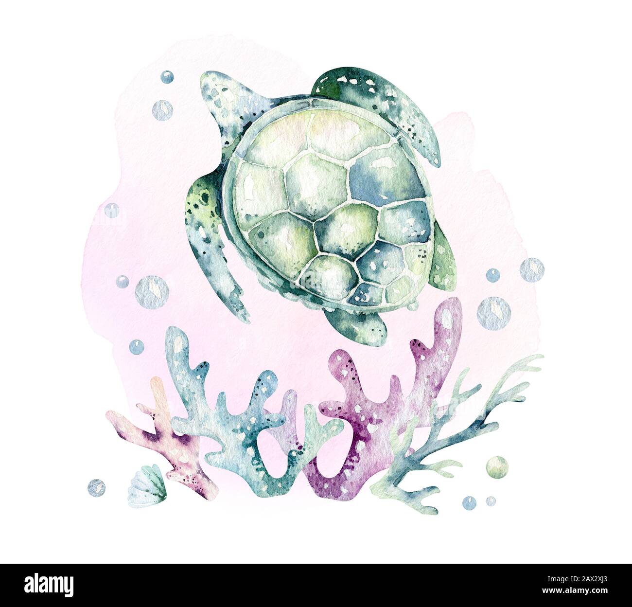 Featured image of post Watercolor Sea Turtle Background Zebra illustration with splash watercolor textured background