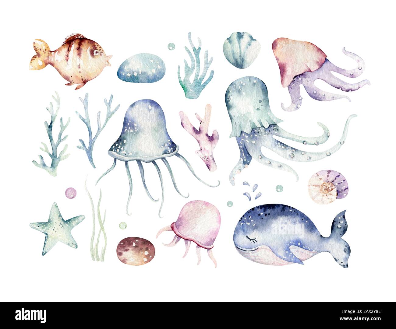 Set of sea animals. Blue watercolor ocean fish, turtle, whale and coral.  Shell aquarium background. Nautical marine illustration Stock Photo - Alamy