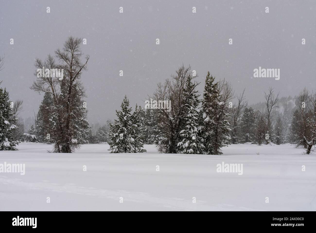 Snow covers Grand Teton National Park Stock Photo
