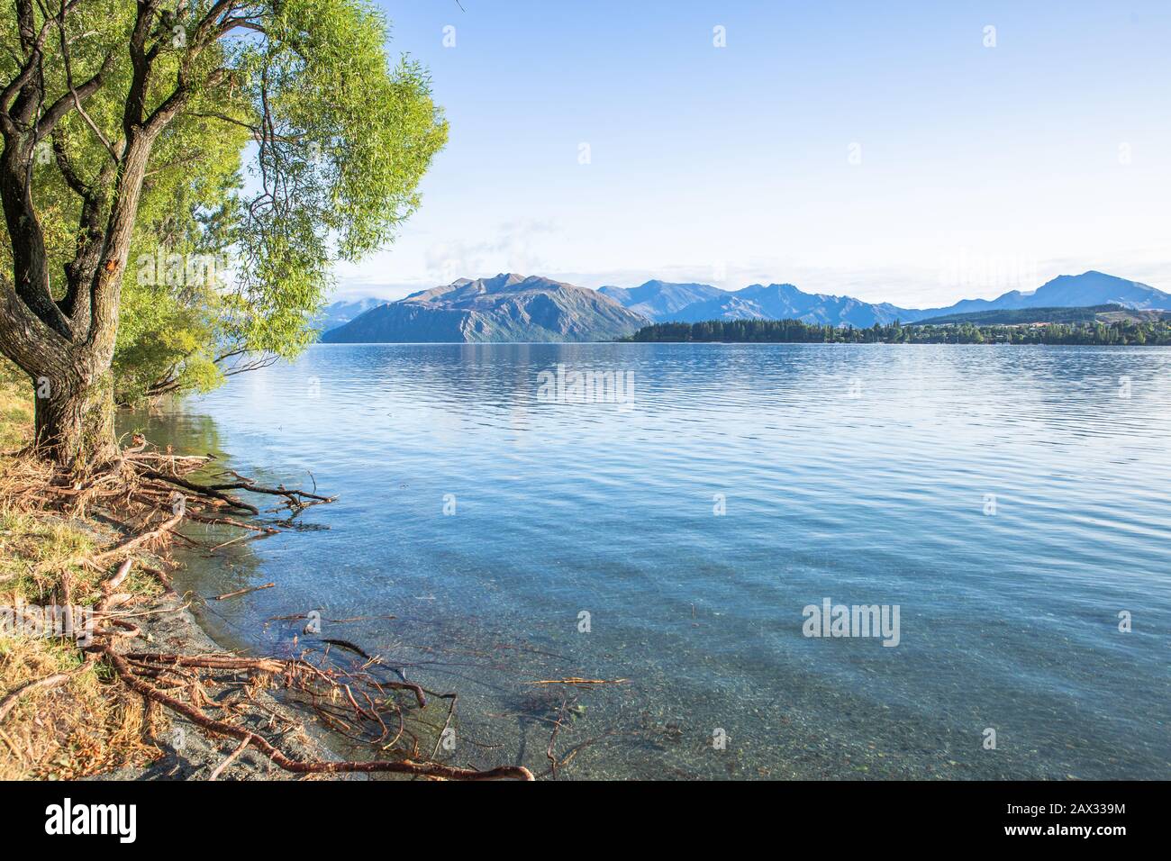 Early morning lake sunrise with golden light. Blue sky and water. Lake Wanaka New Zealand, Popular travel destination. Stock Photo