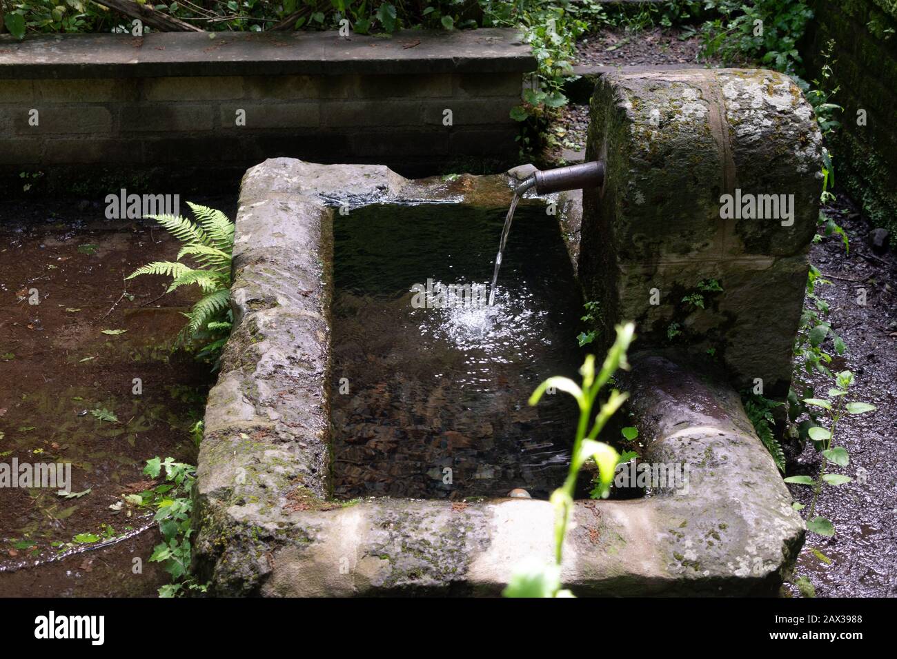 Old rustic drinking water trough with fresh water flowing in Stock Photo