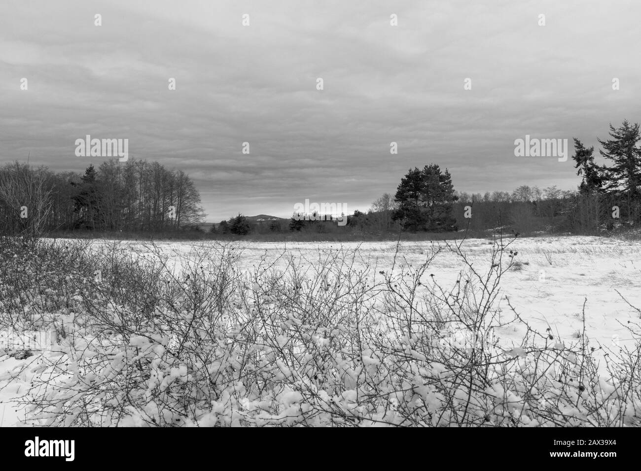 Whidbey Island Under a Blanket of Snow Stock Photo Alamy