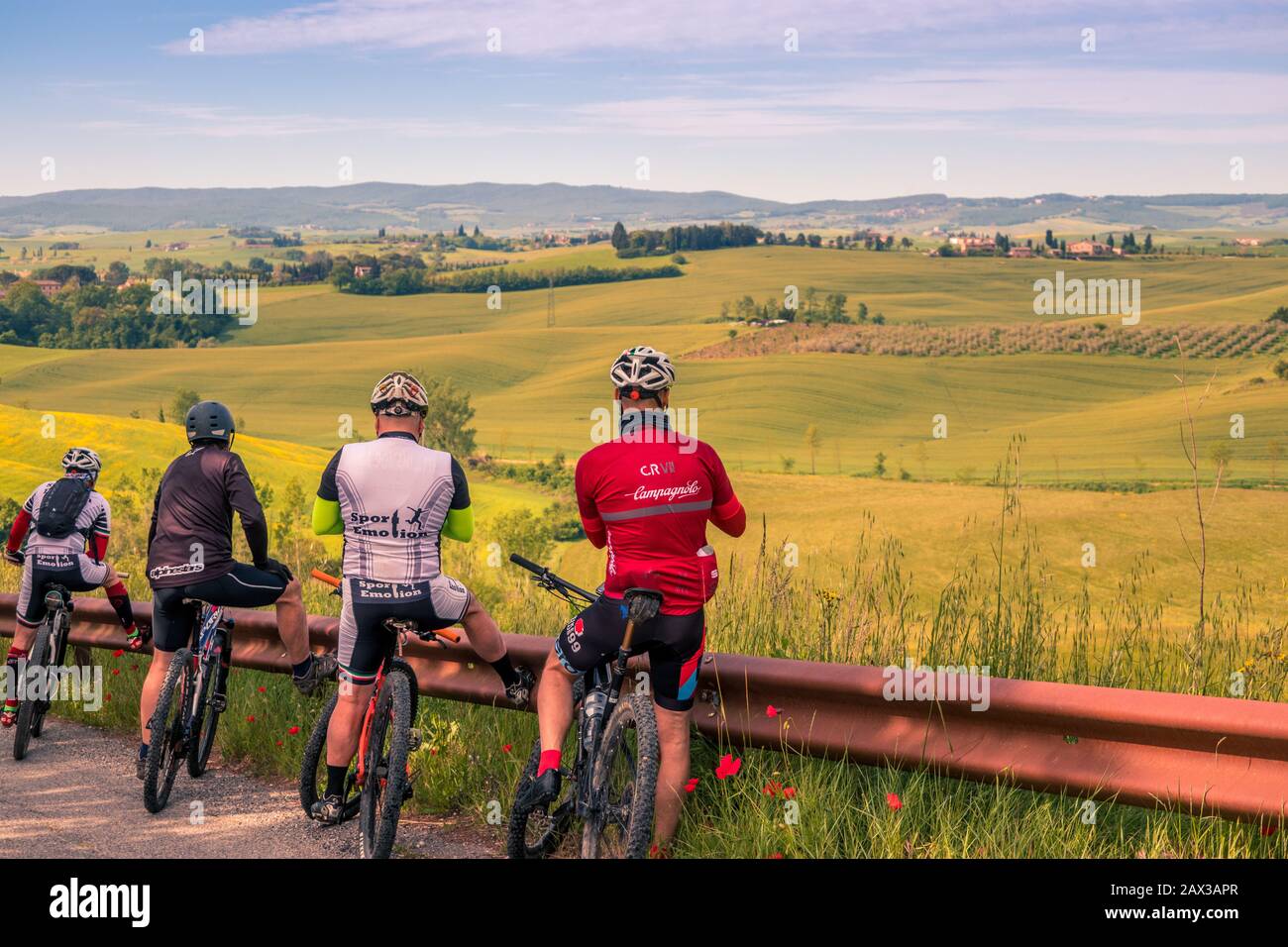 Cyclists taking a break looking at view of rolling hills with cypress lined fields and vineyards Tuscany countryside on the Via Francigena trail Italy Stock Photo