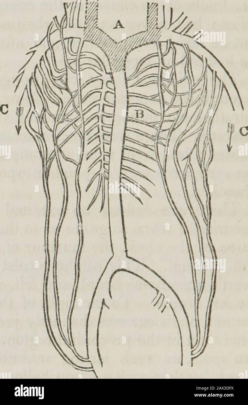 Lectures on the principles and practice of physic : delivered at King's  College, London . A, Obstructed veins. B, Seat of the right auricle. C,  Thoracic, pectoral and mammary veins convey- ing