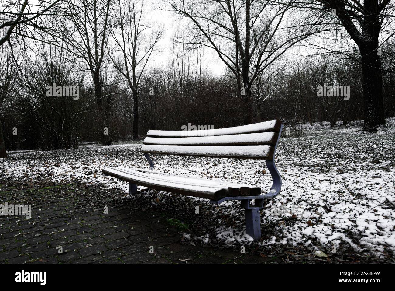 Wooden empty bench covered with snow in ice cold city park in winter. Solitute moods concept Stock Photo