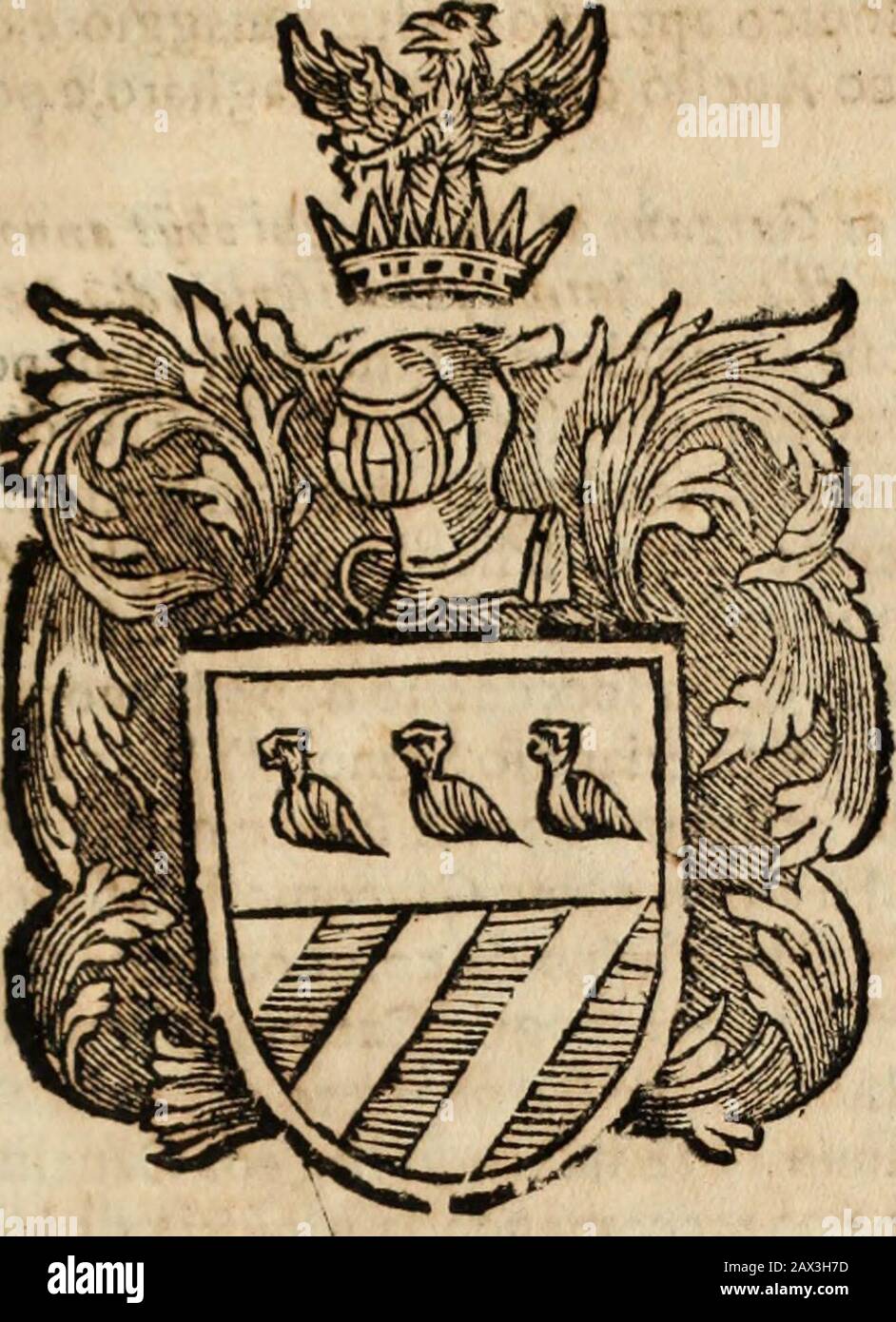 Chiamata di famiglia hires stock photography and images Alamy