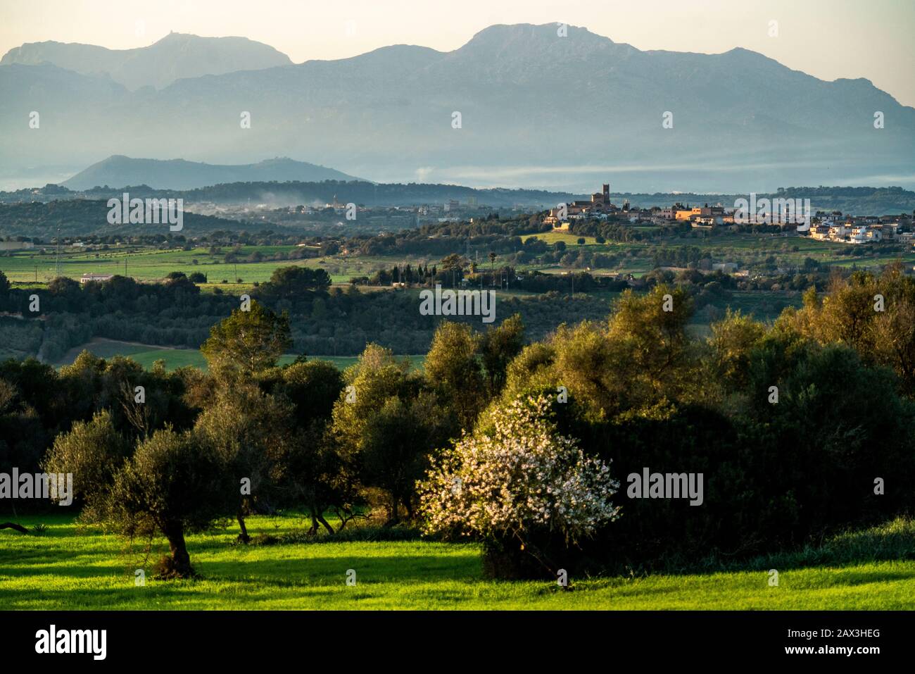 The village of Ariany, in the northeast of the island, in the back the ...