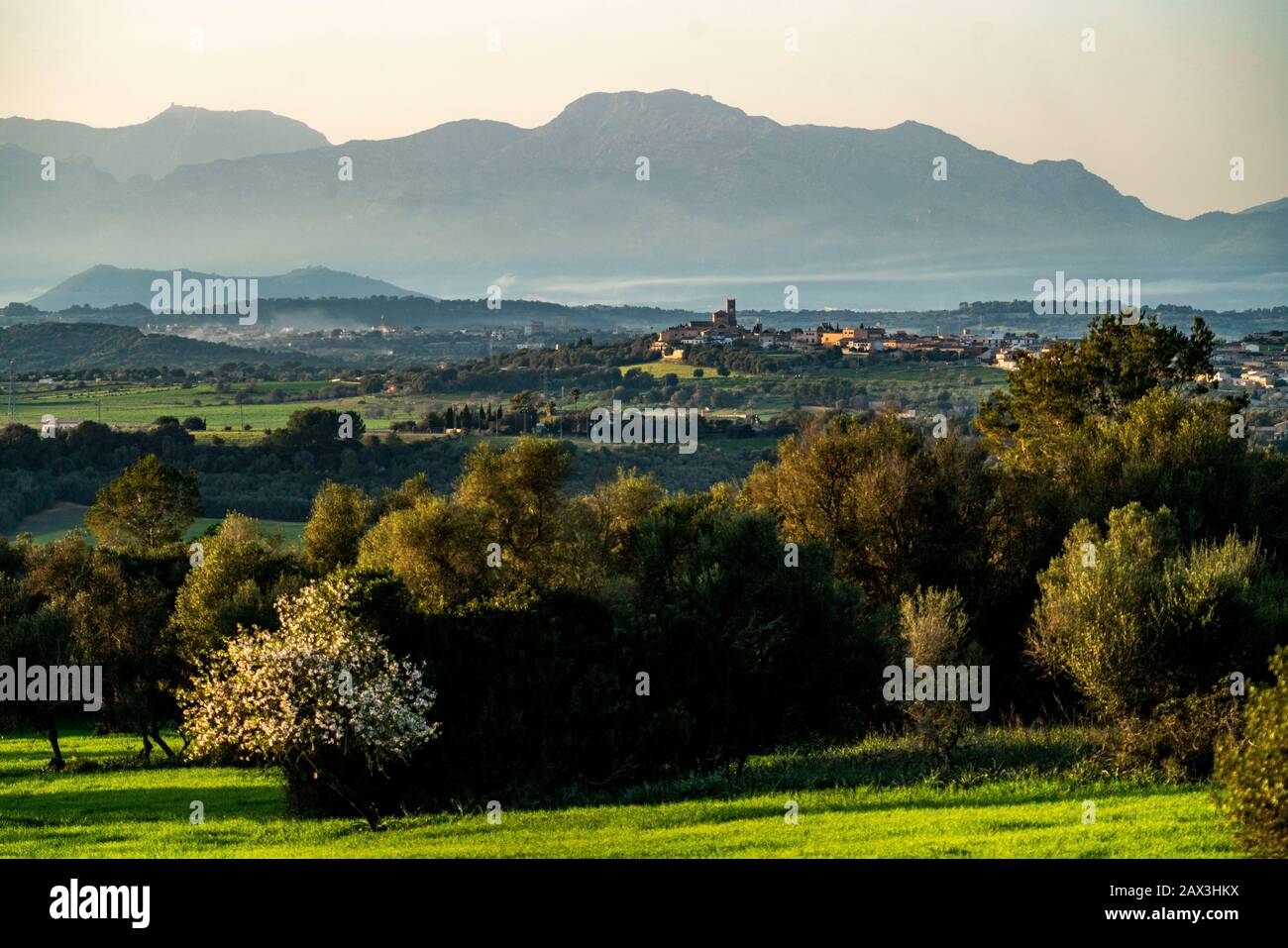 The village of Ariany, in the northeast of the island, in the back the ...