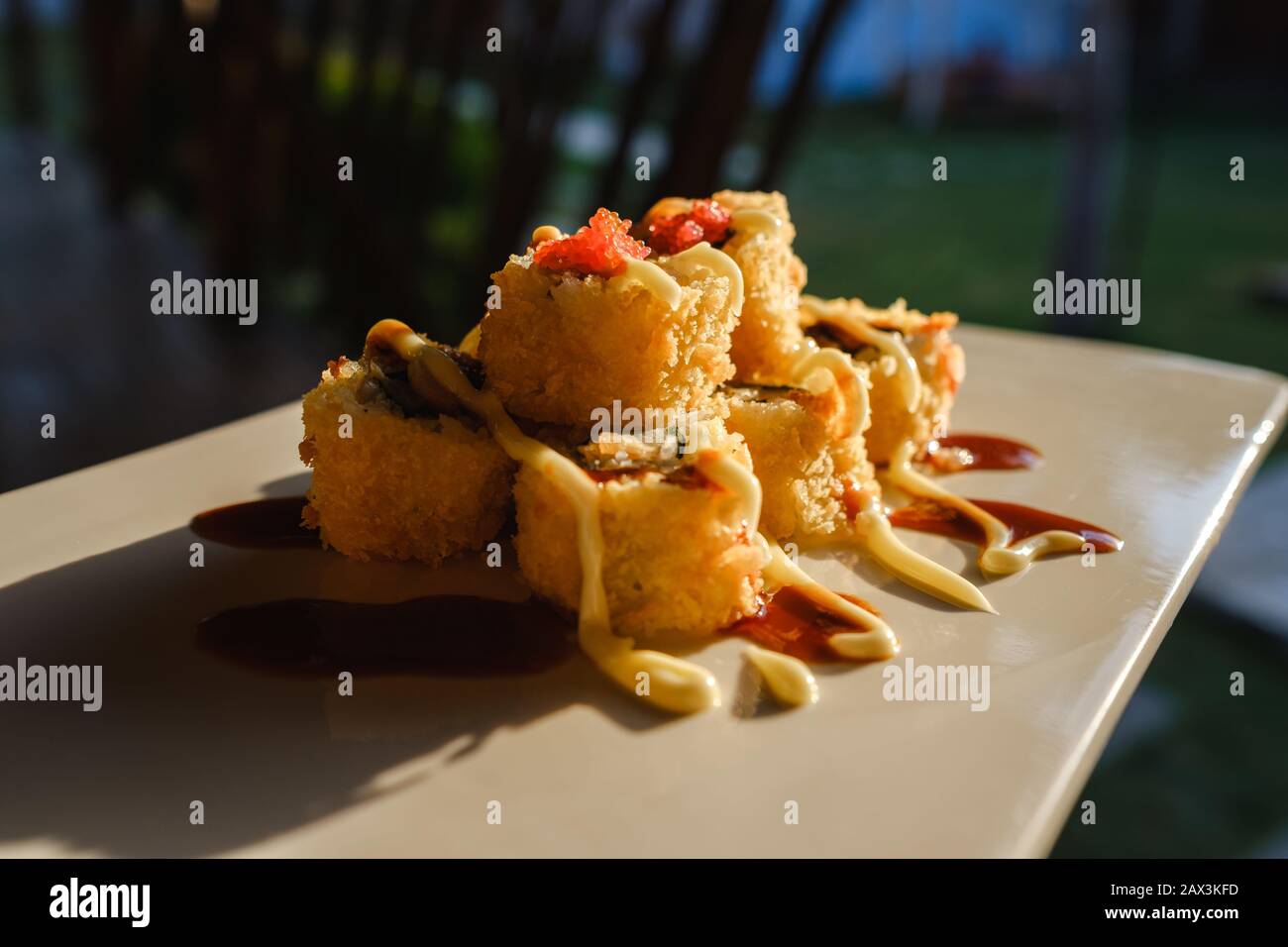 Wide angle shot of sushi with a sauce put on a white tray Stock Photo