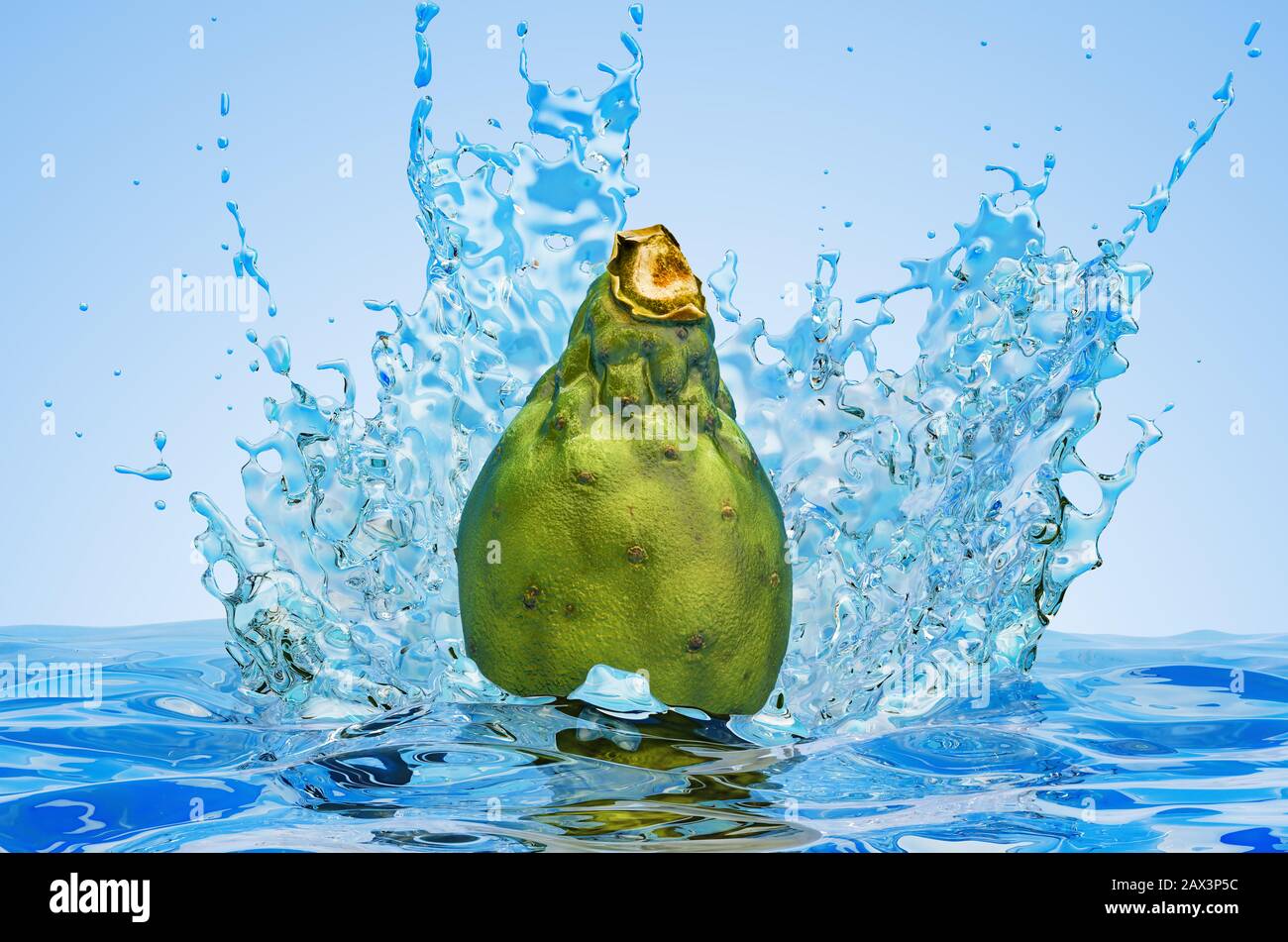 Drink water cactus hi-res stock photography and images - Alamy