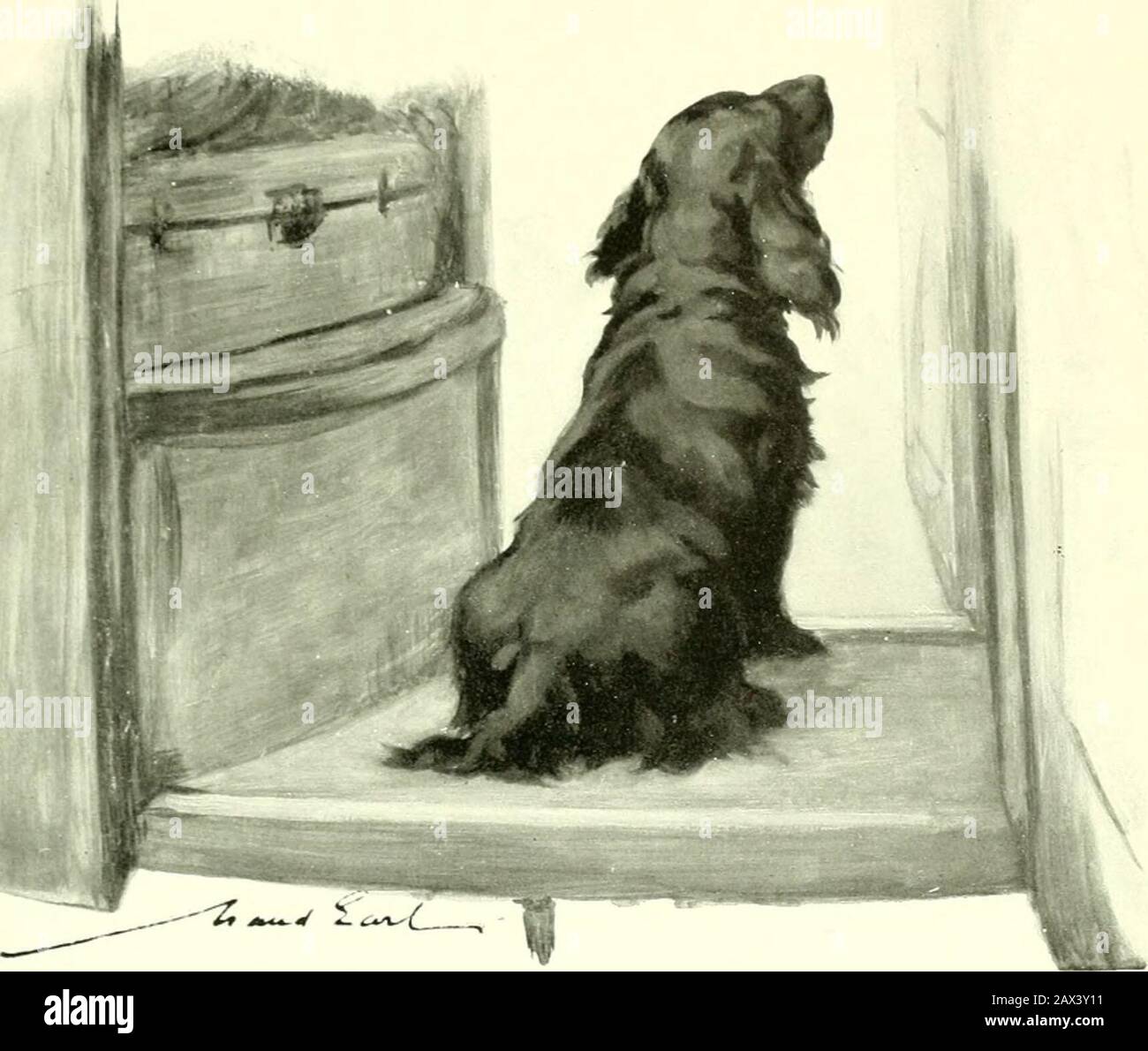 Why Does My Dog Sigh So Much