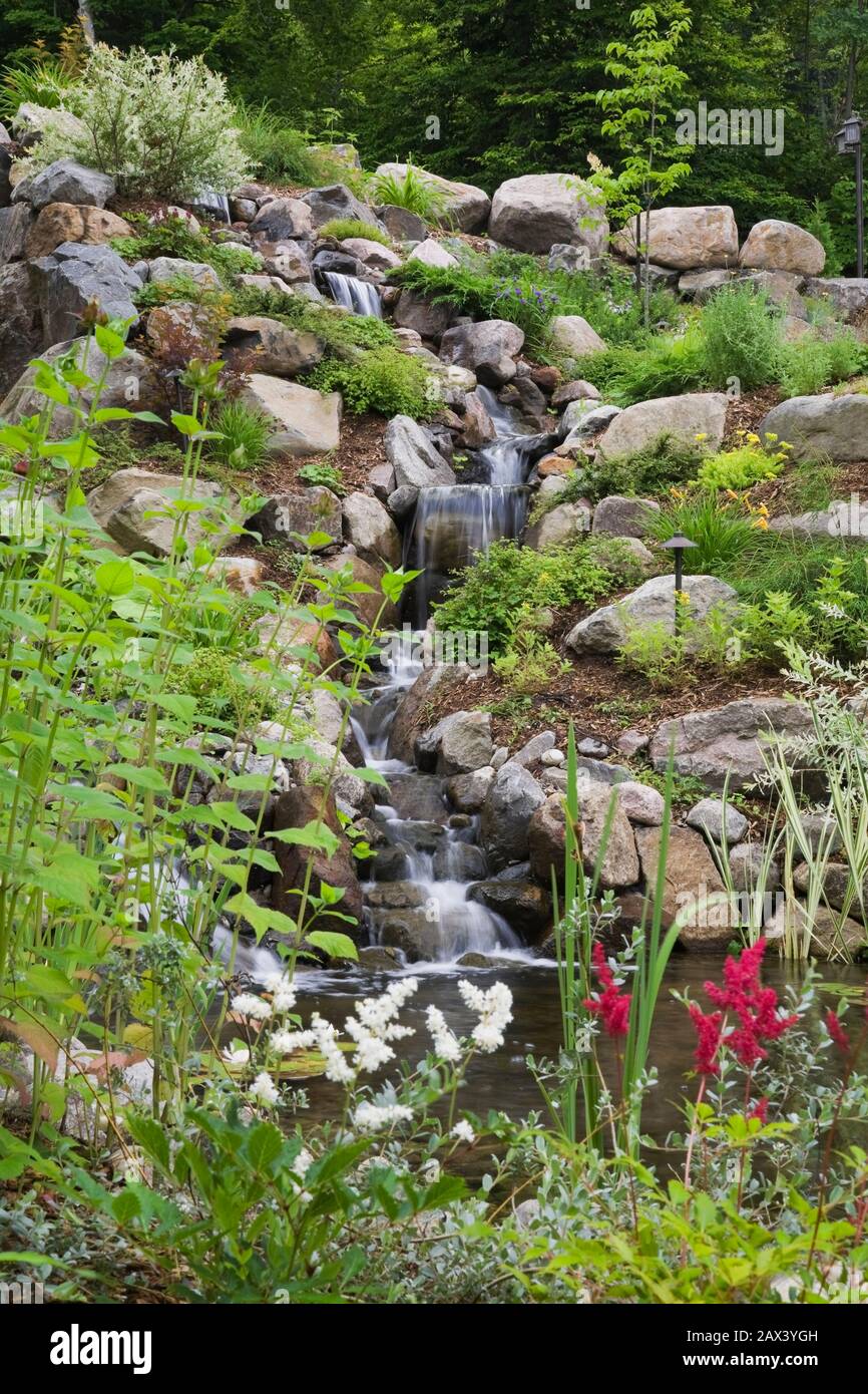 Cascading waterfall and pond bordered by white and red Astilbe flowers in backyard garden in summer Stock Photo