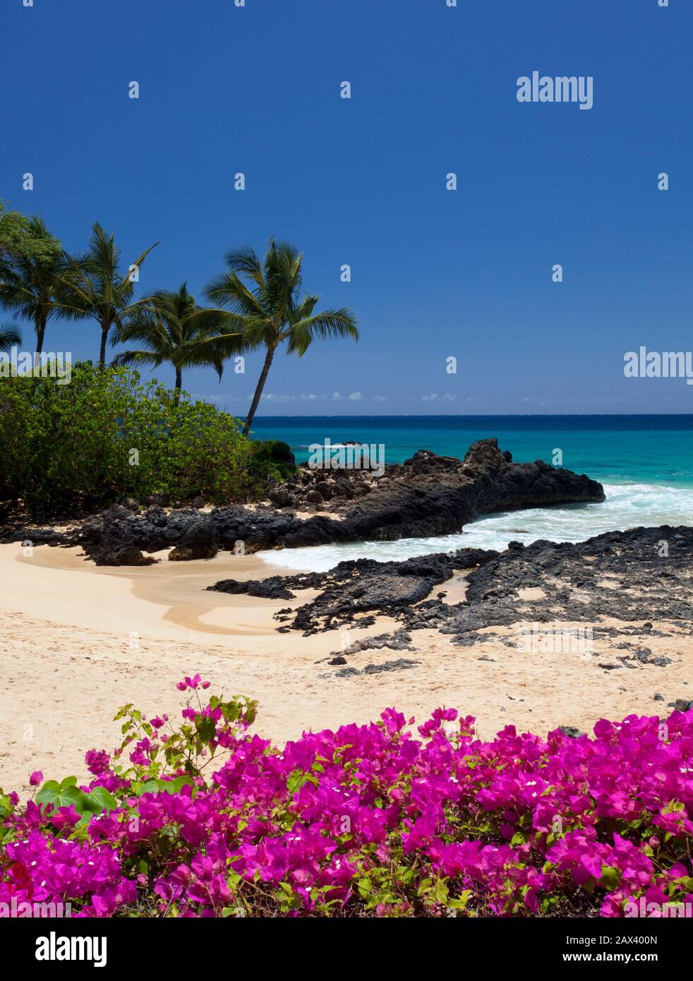 Flowers at Makena Cove, Makena, Maui, Hawaii Stock Photo Alamy