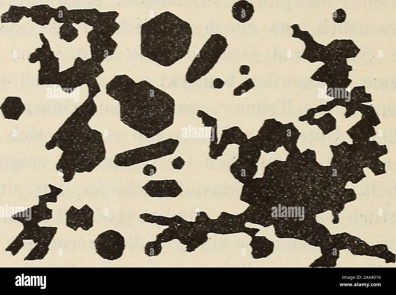 Neues Jahrbuch für Mineralogie, Geologie and Paläontologie . ifft man scharfe hexagonale Umrissformenmehr nur bei den kleineren Individuen an. Noch häufigerindessen bildet der Graphit nur unregelmässige Körner undzackig-hakige, verästelte und manchmal durchbrochene körnig X. Jahrbuch f. Mineralogie etc. 1891. Bd. II. 3 34 & Beck u. W. Luzi. Ieber die Bildung von Graphit. kristalline Aggregate bis 0.3 mm im Durchmesser, au denenzuweilen einzelne Krystallflächen zur Entwickelung gelangtsind, oder denen auch fast rundum ausgebildete Individuenansitzen, wie die beistehende ungefähr öOOinal vergrös Stock Photo