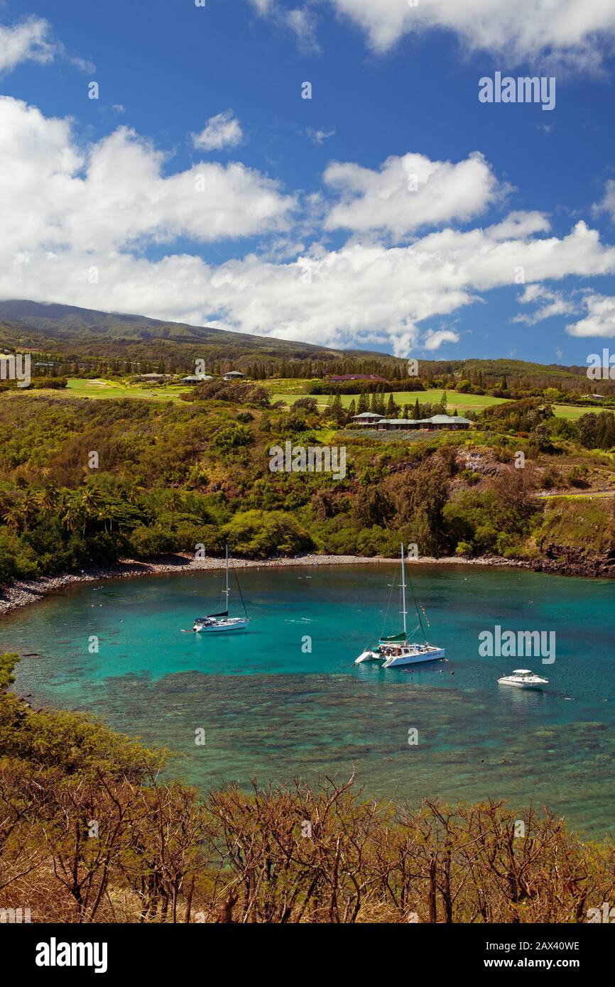 Honolua Bay, Maui, Hawaii.  A great place to snorkel. Stock Photo