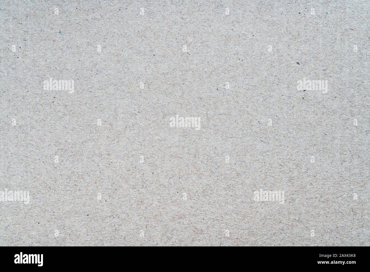 Light gray pattern from sheet of recycled carton. Close-up detail photomicrography view of abstract texture recycled eco-friendly cardboard material Stock Photo