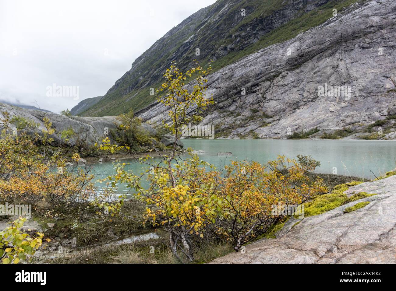 Autumn mountains lake blue water azure color river close view with yellow orange leaves moss and rocks. Cloudy day trekking Norway wild nature Stock Photo