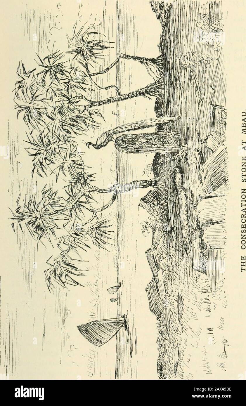 Fijian Warriors High Resolution Stock Photography And Images Alamy