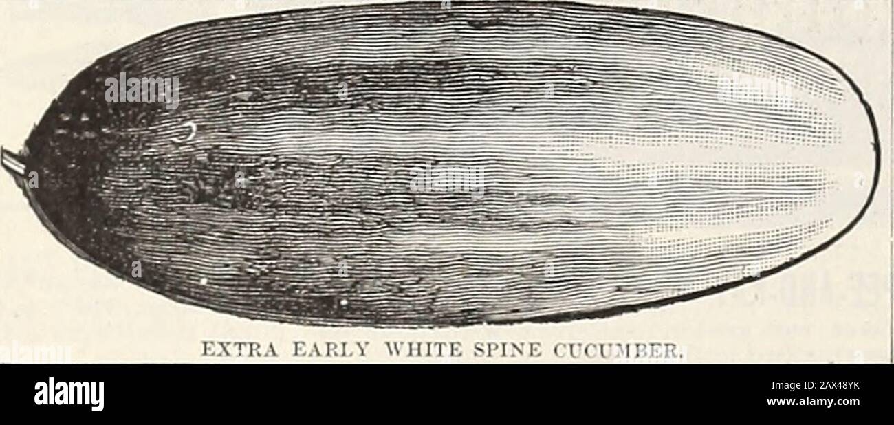 Potter colony hires stock photography and images Alamy