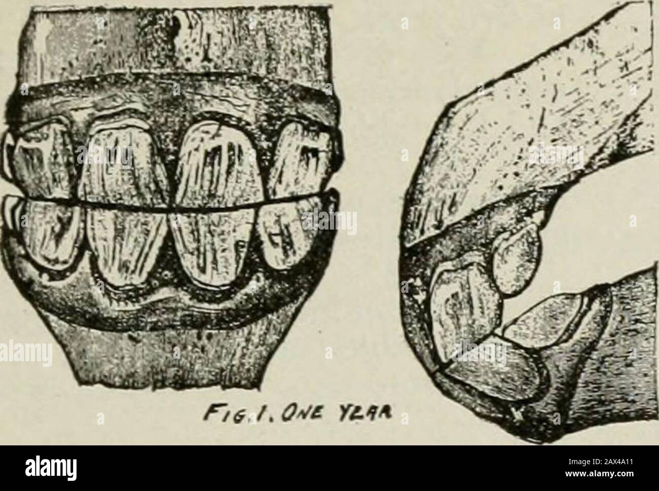 jolly jumper farmers