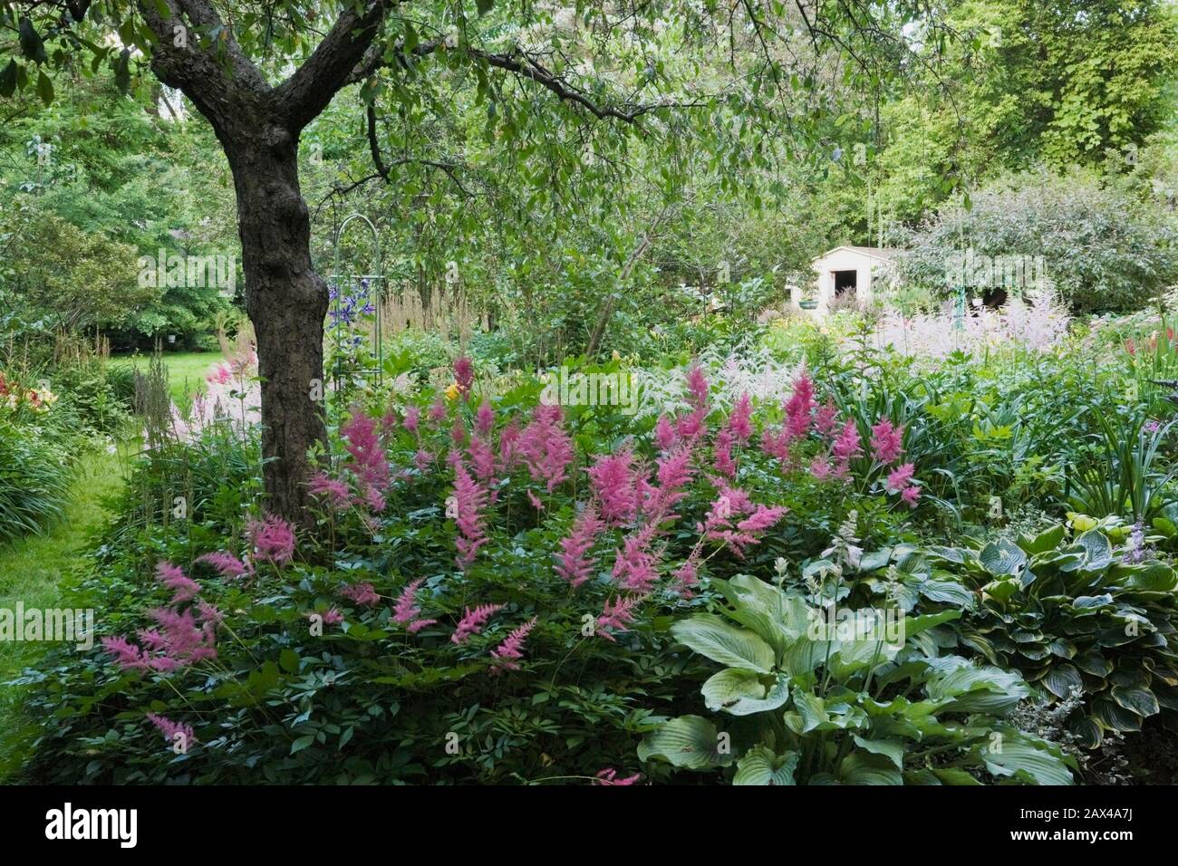 Rotary Botanical Gardens Hort Blog Consider Caryopteris