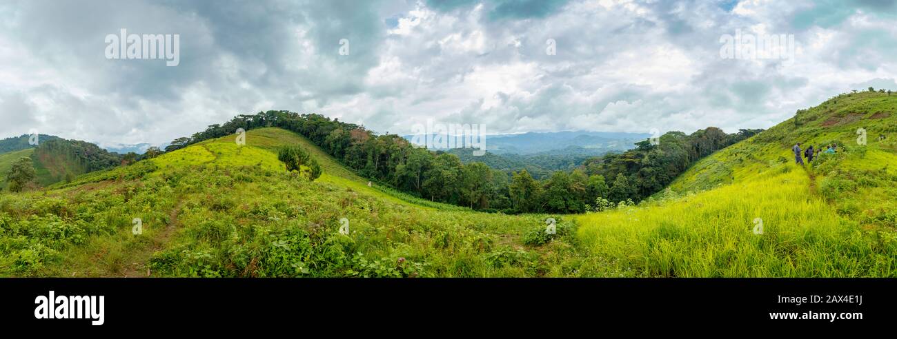 Panoramic view of countryside and fields in Bwindi Impenetrable Forest, Bwindi Impenetrable National Park, Kanungu district, Western Region, Uganda Stock Photo