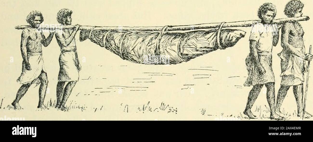 Islands far away; Fijian pictures with pen and brush . ch steadies the vessel and is held out from it bylong poles. The sail, wherein the great loveliness lies, is very large andis made of strips of fine pandanus matting sewn together,formerly with a needle made of human bone. The mattingis a beautiful colour in itself, and, being shiny, it reflects the Canoes. 127 colour of the sky and sea, and tones majestically into thelandscape, so that it never failed to thrill me with its perfectgrace, and harmony with the surromidings. The Fijians were the master canoe-makers of the Pacific ;and the Ton Stock Photo