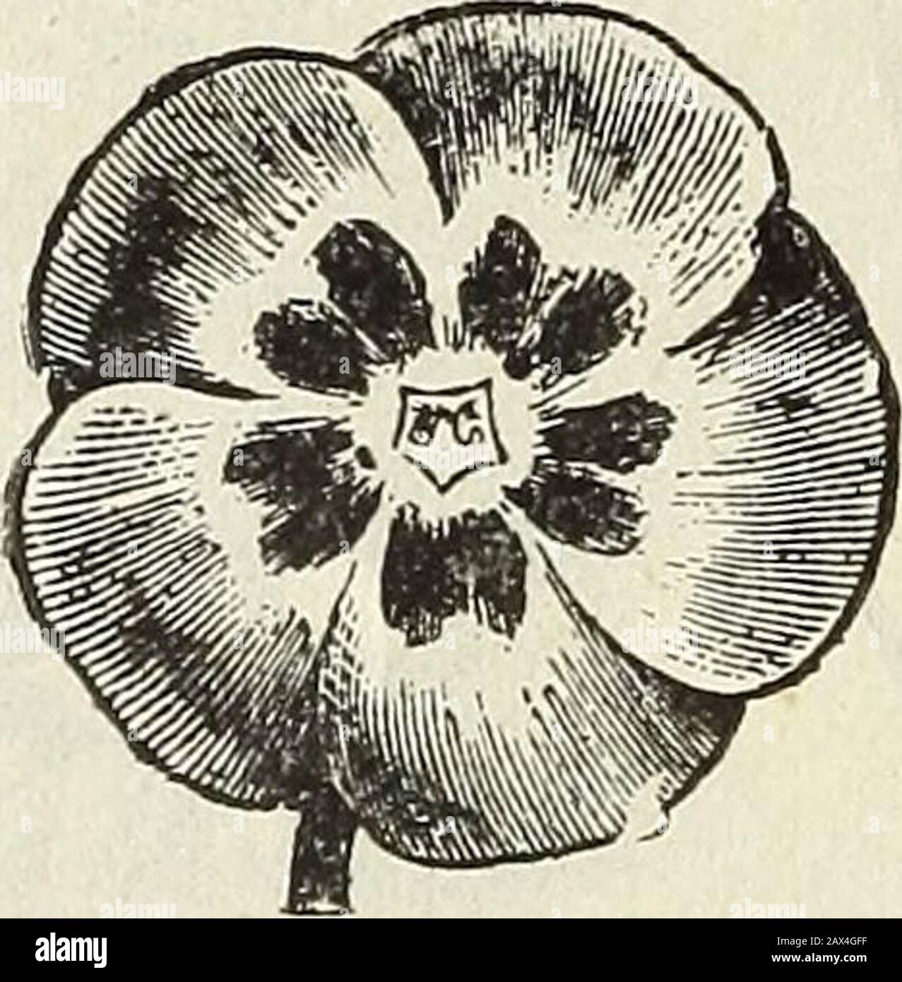 Spring catalogue of John Saul's new, rare and beautiful flower and garden seeds grown and imported by John Saul, Washington D.C1888 . Myosotis, Forget-me-not. Obeliscaria pulcherima; (Radbecka Drummondii ) velvety crimson, edged and tipped with yellow ^Enethera; taraxcifolia or Acaulis Phlox; Mixed perennial, from our superb collection... Phlox. Polemonium Coerulem; Fine blue 05 Album; White IO Primula; (Primrose.) Elatior, Polyanthus; fine mixed 10 Double horse-in-hose IO Cowslip; Fine mixed IO Stock Photo