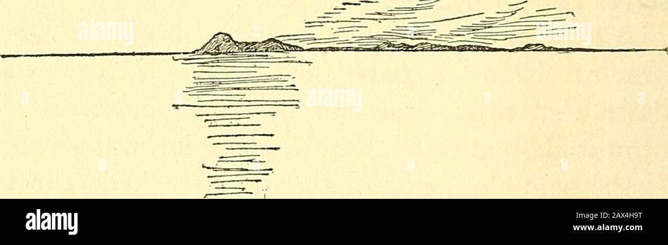 Female Sounding Rods