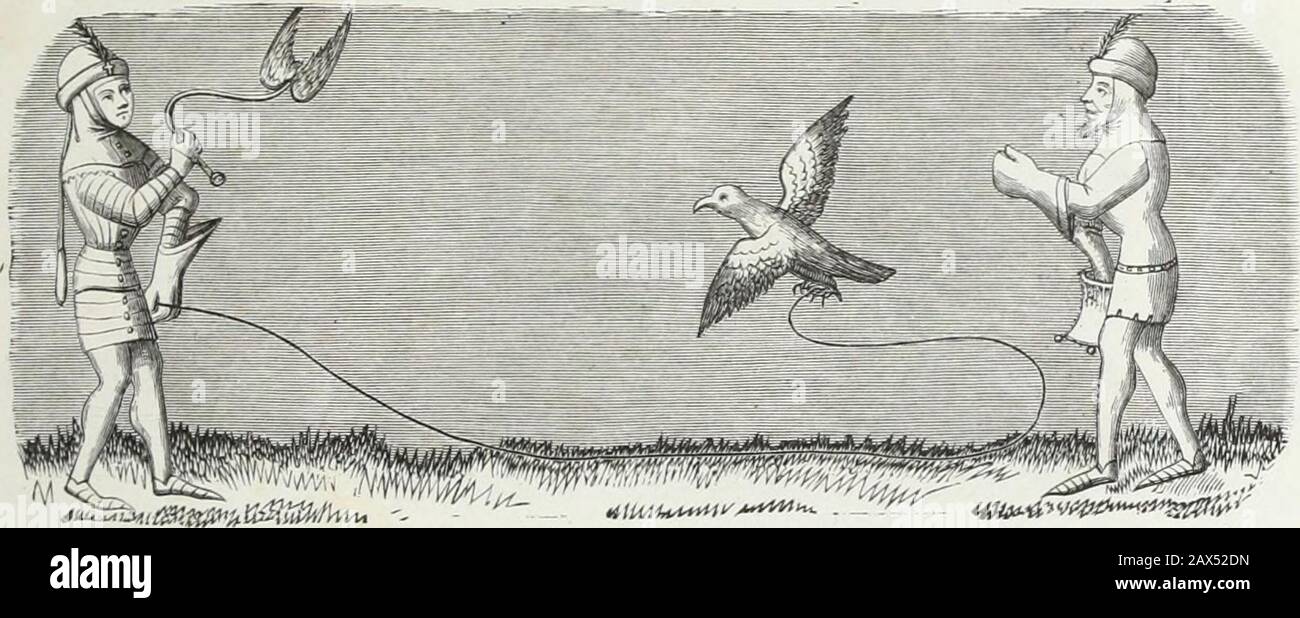 le perdrix high resolution stock photography and images alamy