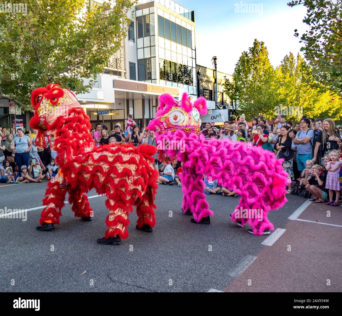 chinese new year perth lion dance