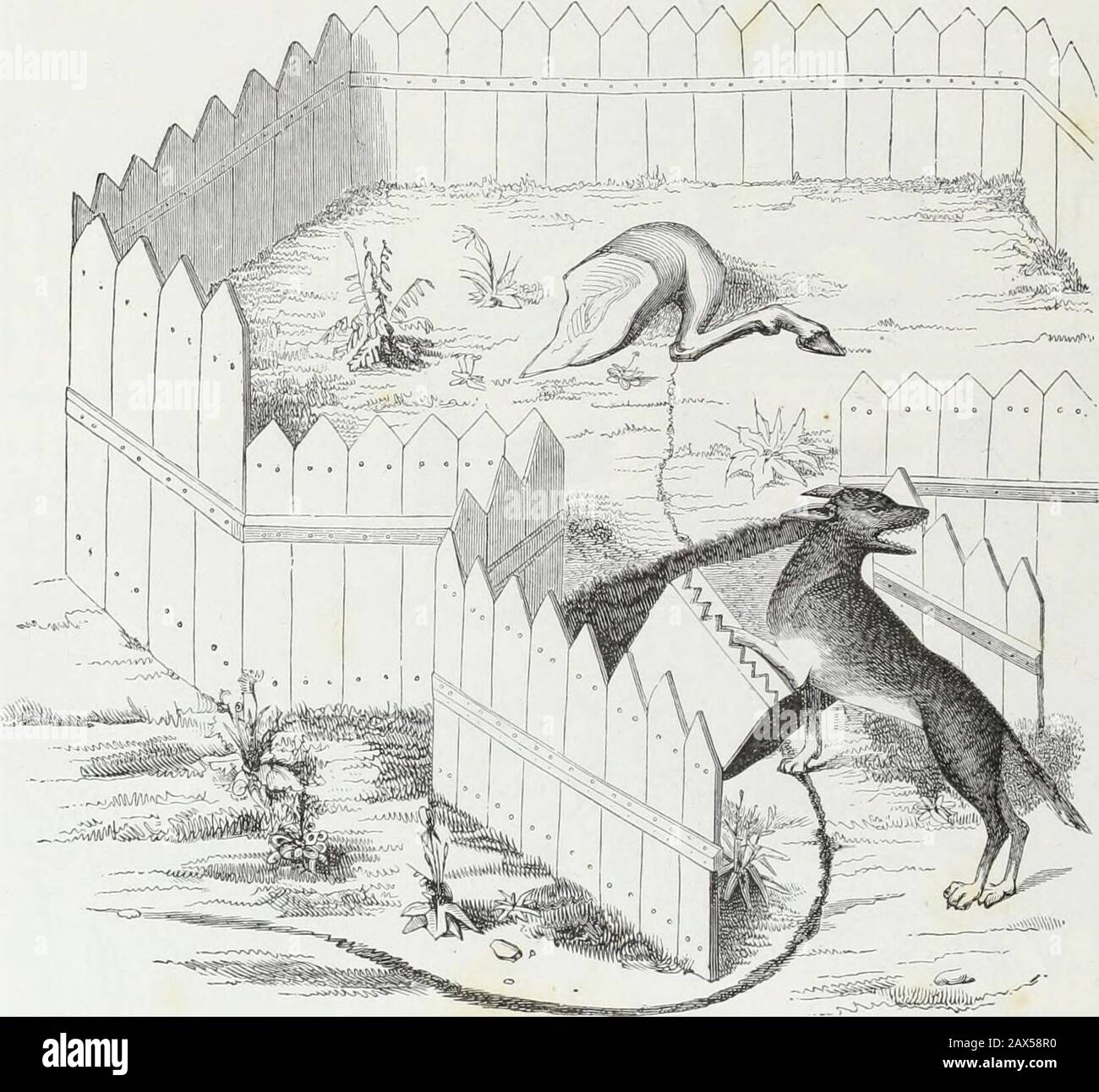 Mœurs, usages et costumes au moyen âge et à l'époque de la renaissance .  Fig. 142. — 0 Du chenil où les chiens doivent dcmourer, et comment il doit  estre tenu.» Fac-similédune