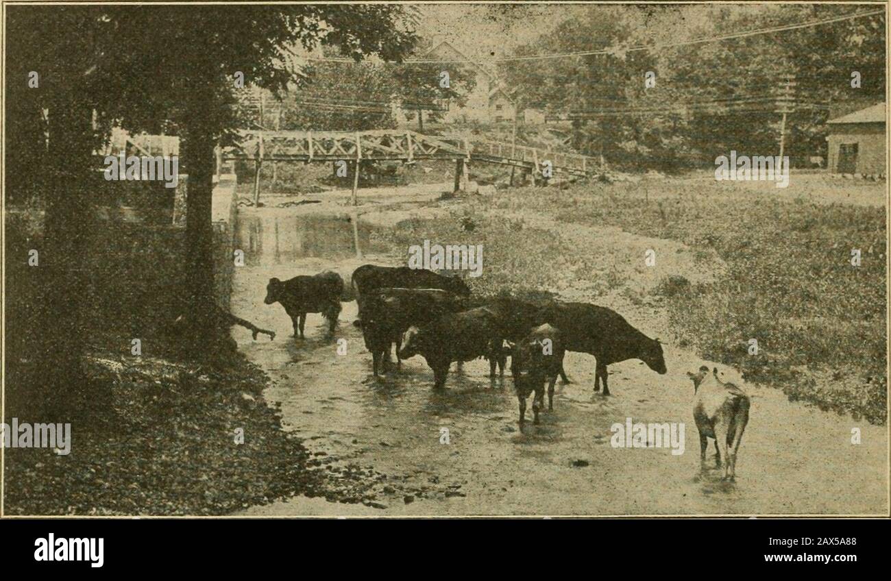 The Ozark Mountain region of Missouri and Arkansas as it appears along the line of the Kansas City southern railway . FARM VIEW AT SULPHUR SPRINGS, ARK. 10 THE OZARK REGION. SAGER CREEK, SIL.OAM SPRINGS, MO. our boxes, crates, baskets, cases, etc., in carloads at the lowest figures. The great stand-by on the Ozark farmis the chicken, of whatever breed. It worksall the year around. The hens lay well allwinter where properly cared for, but beginin earnest about the middle of January andcontinue until they reach their best allthrough February, March and the springmonths, and they lay well when eg Stock Photo