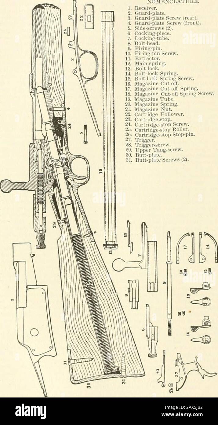 Farrow's military encyclopedia : a dictionary of military knowledge . picce, and pull thetrigger. Draw back the bolt by the knob of thecooking-piece : and the cartridge will be pushed for-ward, and remain in the receiver. Remove the cart-ridge, and proceed as before. 3. Rai.se the handle ;place the wrist of the right hand against the handleof the lock-tube, the thumb being extended across NOMEMCL.TURE. 1. Receiver. 2. Guard-plate. 3. Guard-plate Screw (rear). 4. Guard-plate Screw (froDl). 5. Side-screws (2).0. Cockiug-piece.T. Locking-tube.R Bolt-head.9. Firing-pin. 10. Firing-pin Screw. 11. Stock Photo