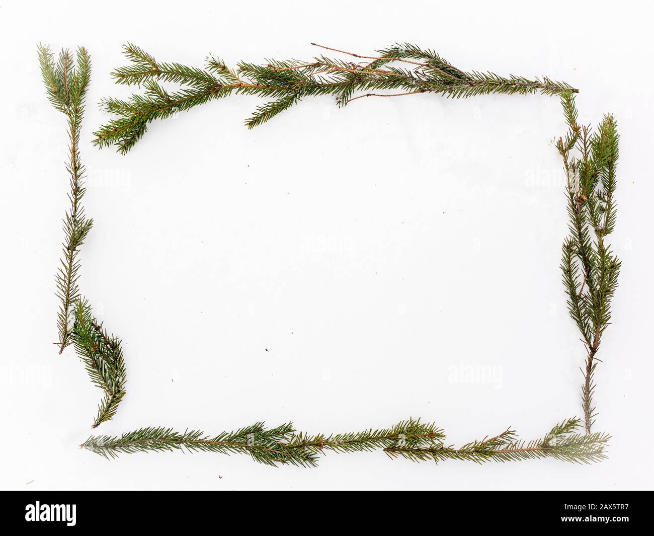 Frame of fir branches on white snow. Christmas framework with snow ...