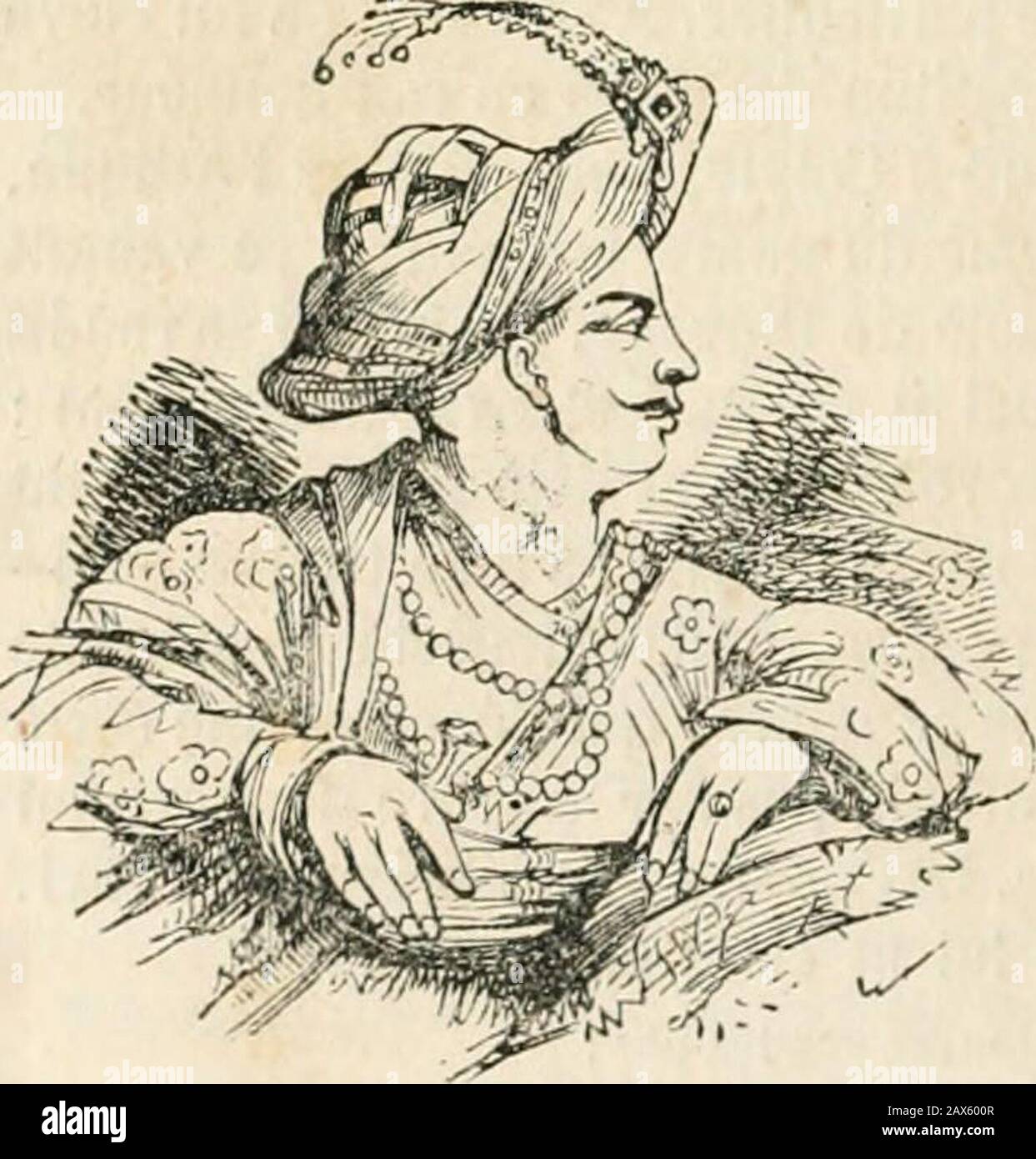 Dictionnaire De Conversation A L Usage Des Dames Et Des