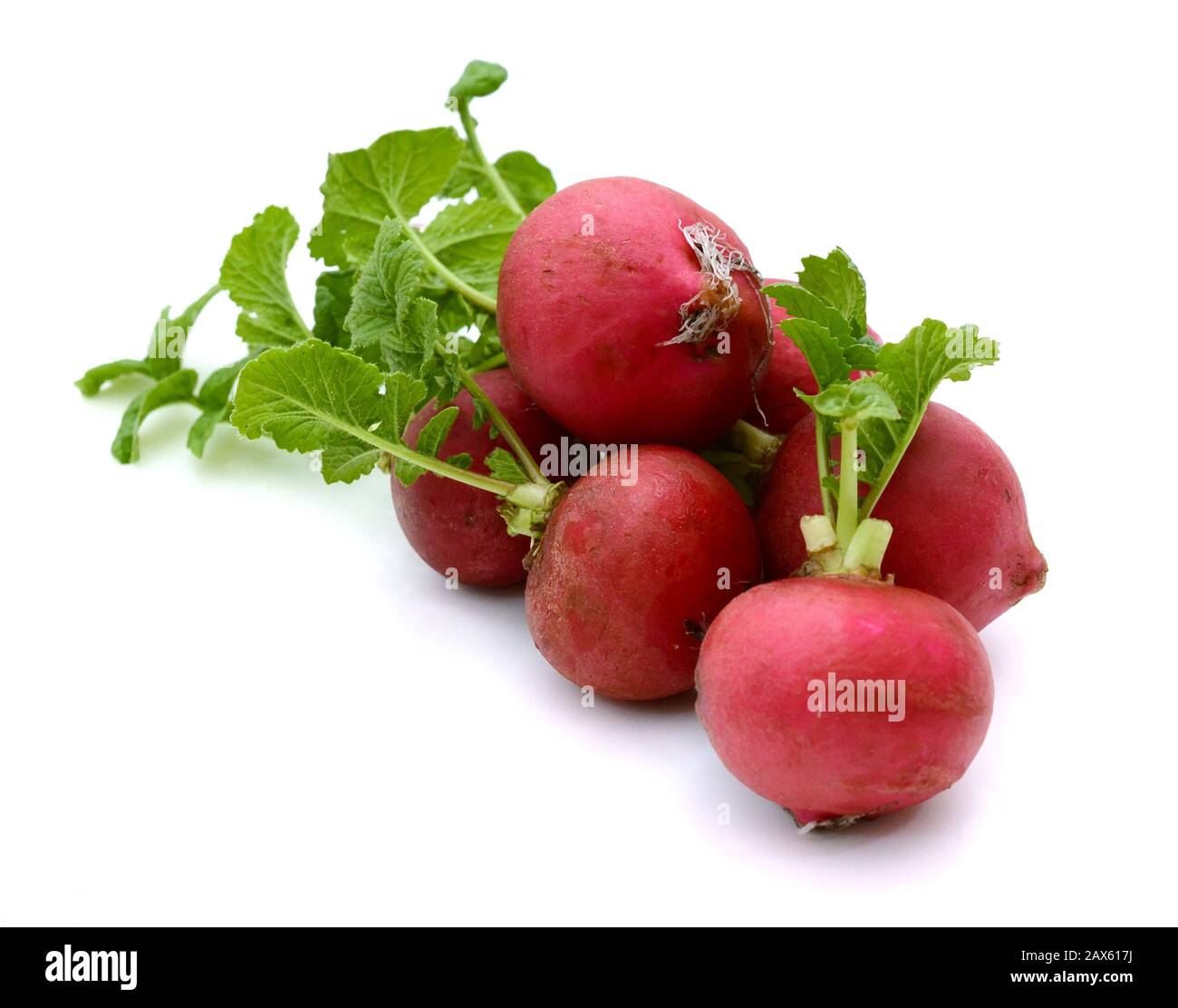 Hanoi plum Stock Photo