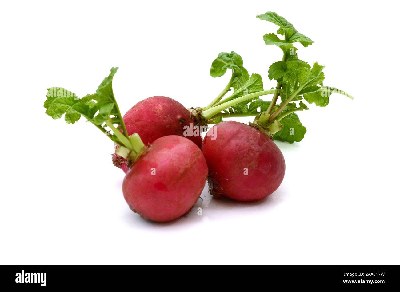 Hanoi plum Stock Photo