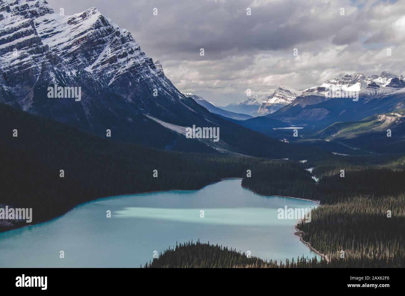 Banff national park peyto lake alberta no people hi-res stock ...
