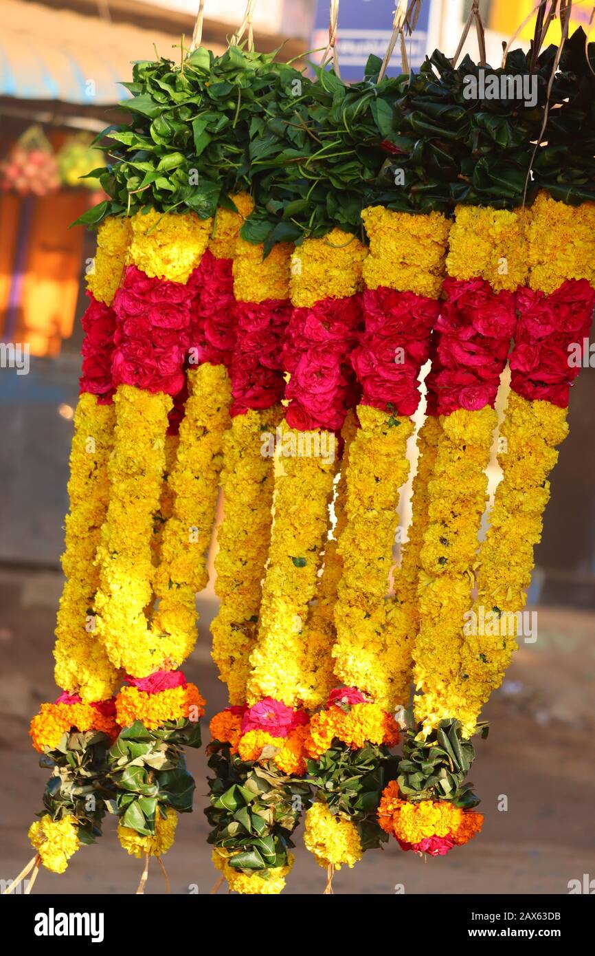 close up shot of multicolored marigold flowers, rose flowers, jasmine flowers and green betel leaf garland hanging on rod in street shop on market ,st Stock Photo