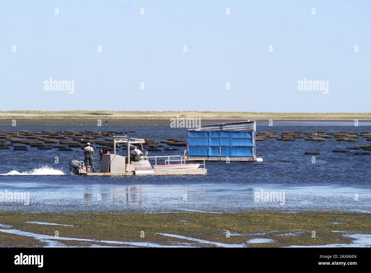Fish farming along the shores of the Gaspe coast in Quebec, Canada