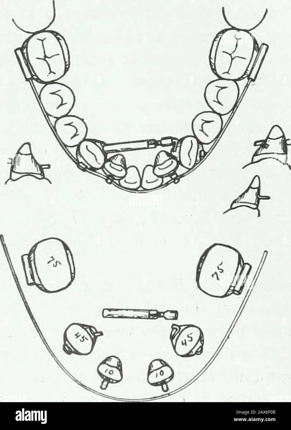 A practical treatise on the technics and principles of dental ...