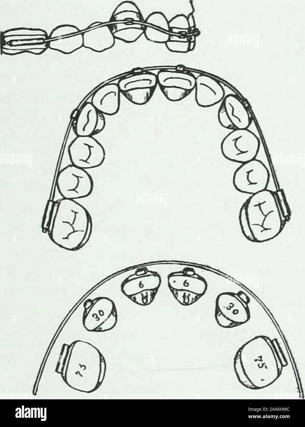 A practical treatise on the technics and principles of dental ...