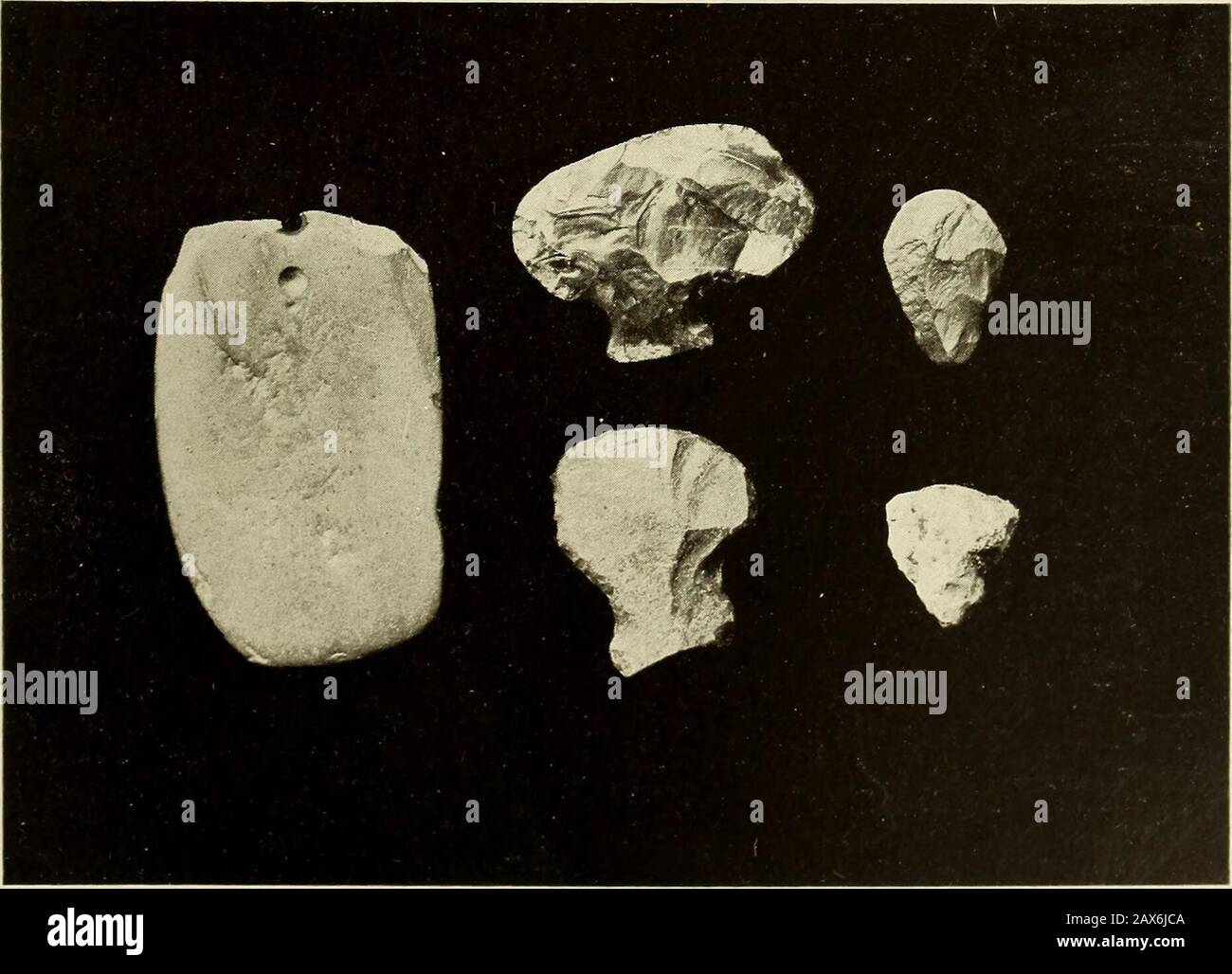 Exploration of a Munsee cemetery near Montague, New Jersey . a. PENDANT-SHAPED STONE FROM THE MOUND, AND CATLINITE PIPE FROM A FIELD NEAR THE BELL FARM. h. A PENDANT AND FOUR SCRAPERS H EYE-PEP PER—EXPLORATION OF A M UN SEE CEMETERY 75 The pipe above referred to (pi. xn, c) is of pottery, is 6 in. long,and was in two pieces. It is of light-colored ware; the stem isflattish on the upper and lower surfaces, broad near the bowl, andtapers to a rounded point at the mouth-piece. The flaring bowlhas a projecting rim, the lip of which is decorated with a series ofparallel, incised lines. A fragment o Stock Photo