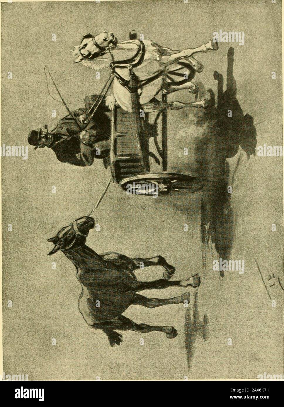 Horse cast in stable hires stock photography and images Alamy