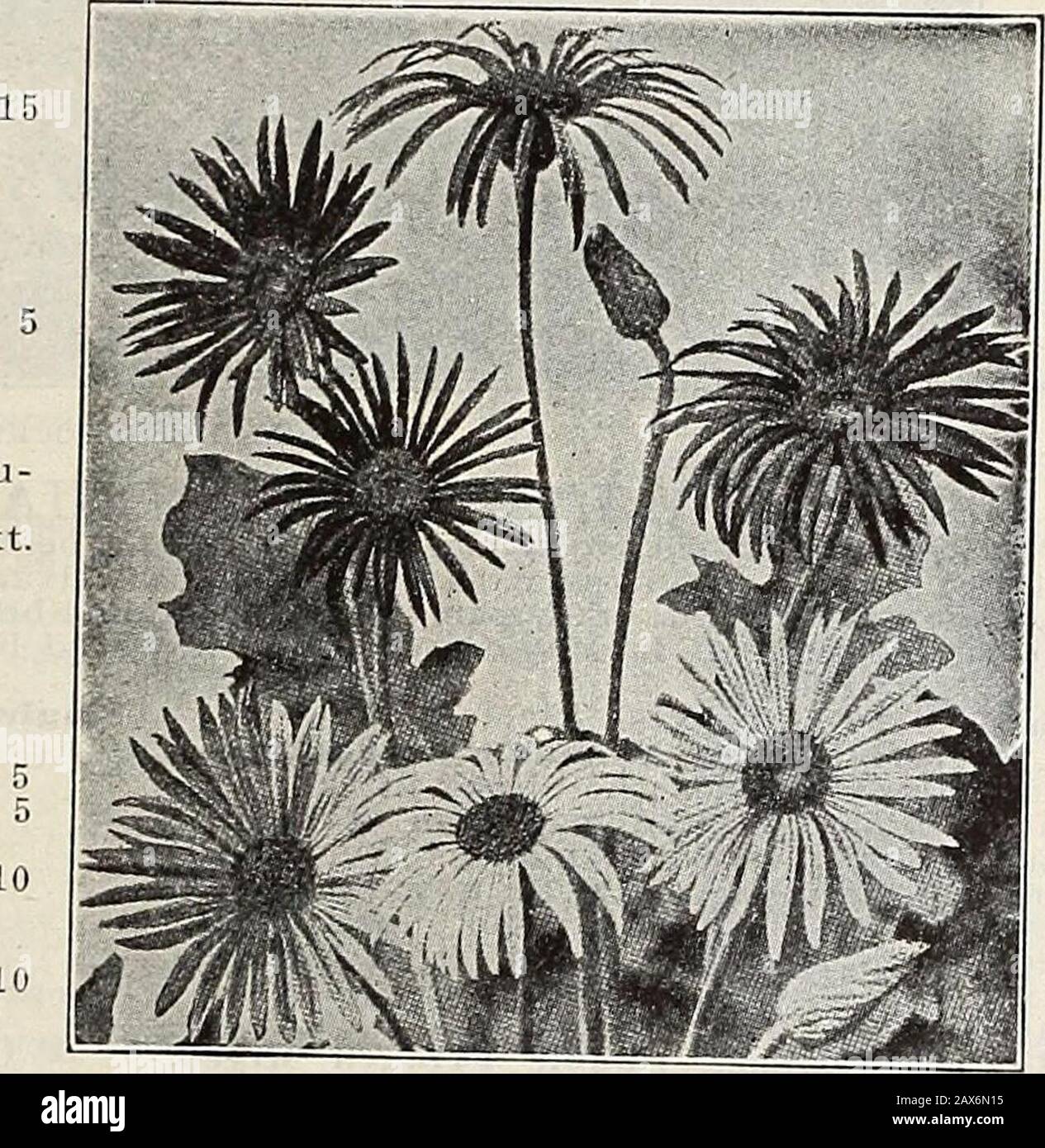 Currie's farm and garden annual : spring 1915 . Stock Photo