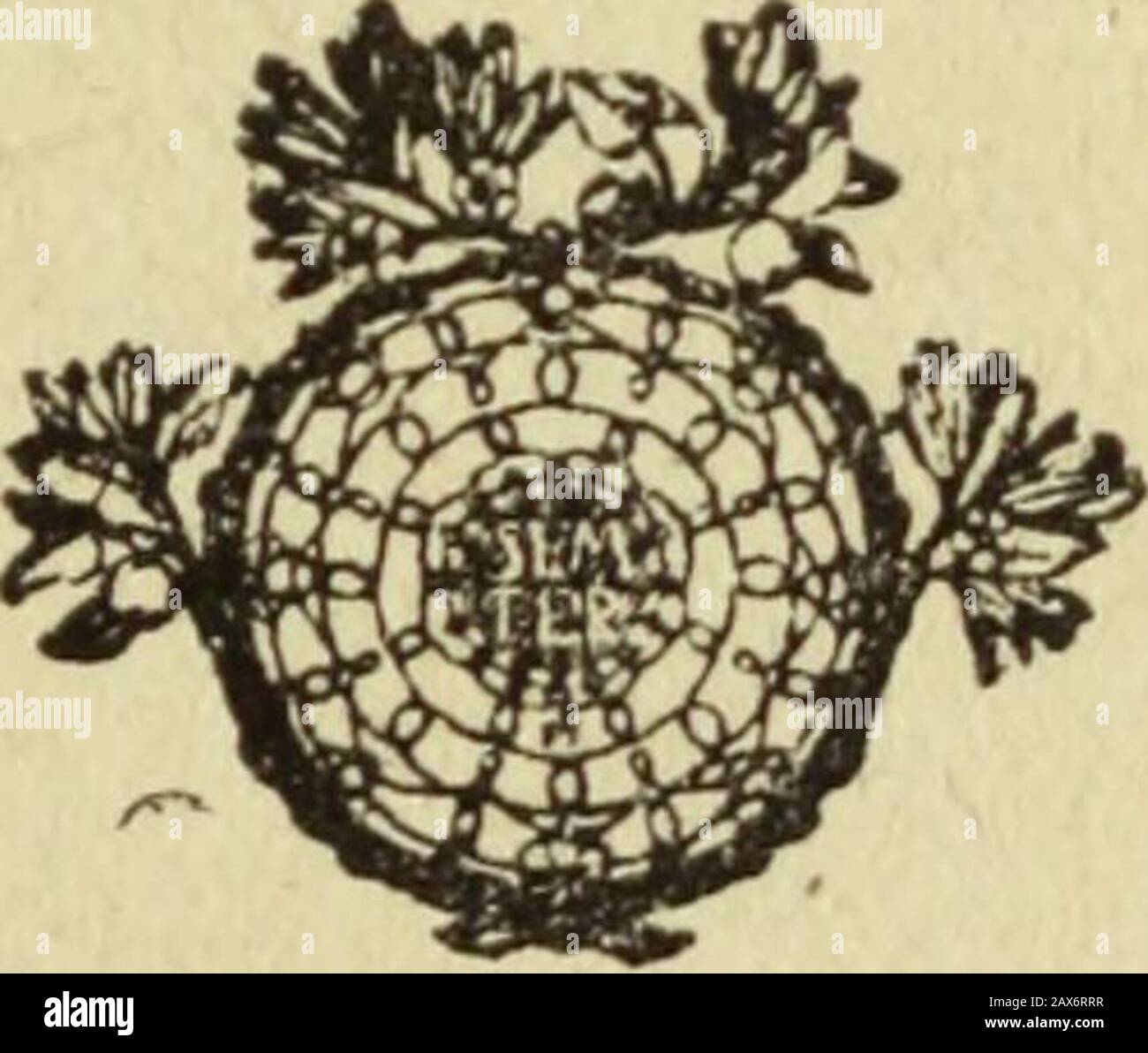 Cose Belle High Resolution Stock Photography And Images Alamy